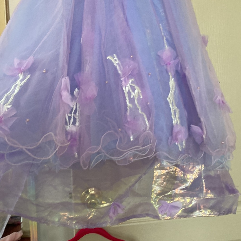 BEAUTIFUL PRINCESS DRESS - Picture 4 of 7